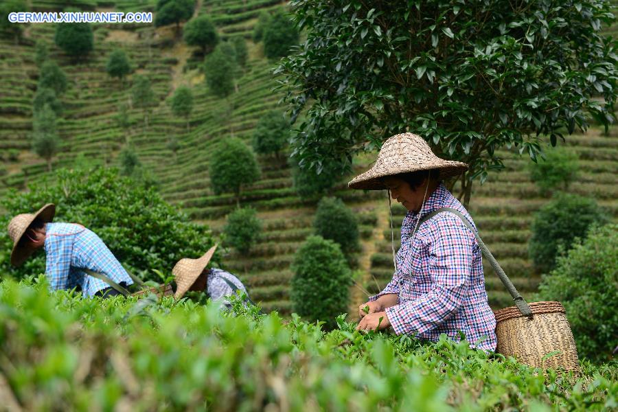 #CHINA-SUMMER SOLSTICE-AGRICULTURE (CN) 