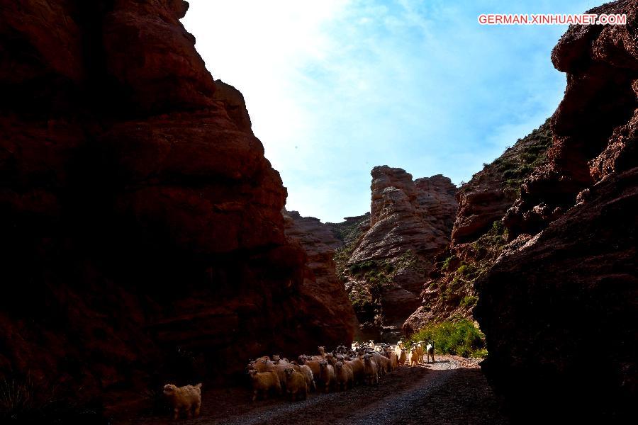 #CHINA-GANSU-ZHANG YE-DANXIA LANDFORM(CN)