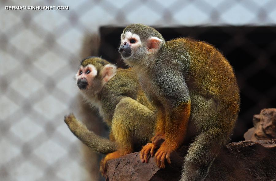 #CHINA-JIANGSU-SUZHOU-ANIMALS (CN)