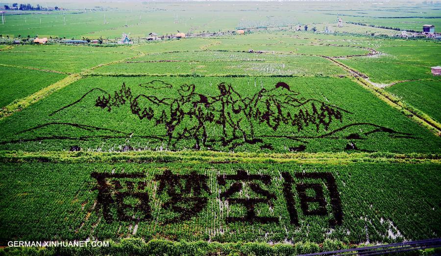 CHINA-SHENYANG-FIELD PAINTING (CN)