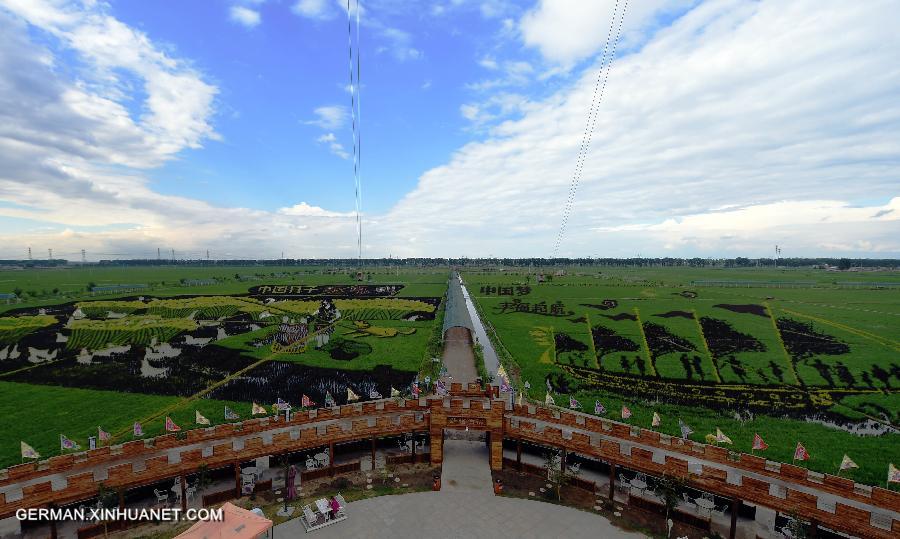 CHINA-SHENYANG-FIELD PAINTING (CN)