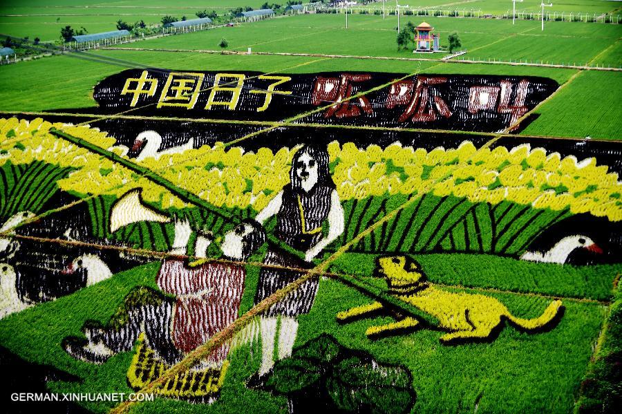 CHINA-SHENYANG-FIELD PAINTING (CN)