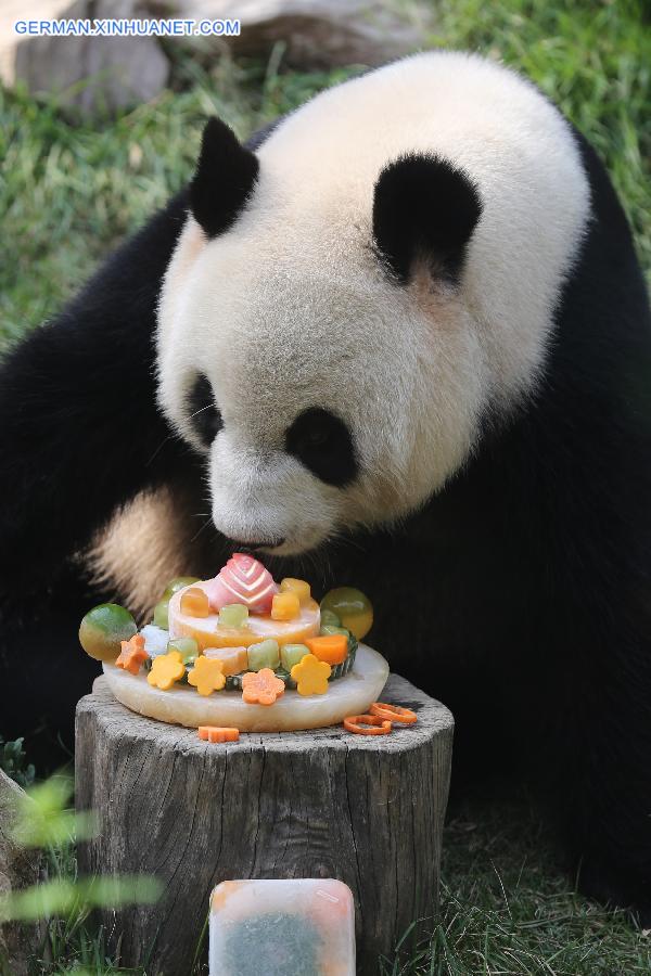 CHINA-MACAO-PANDA-BIRTHDAY(CN) 