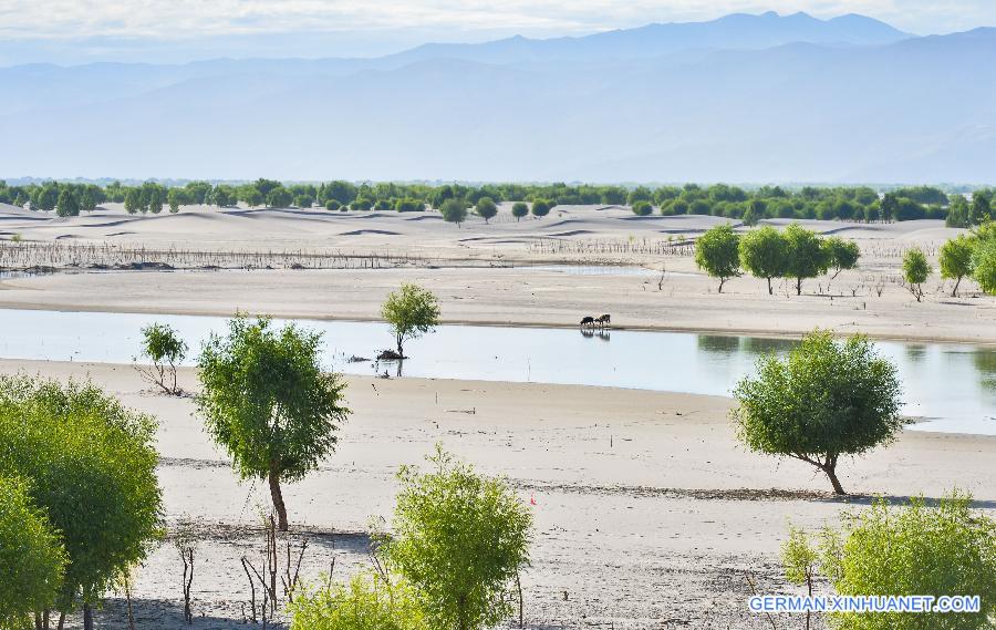 CHINA-TIBET-CONSERVATION PROGRAM-SAND CONTROL (CN)