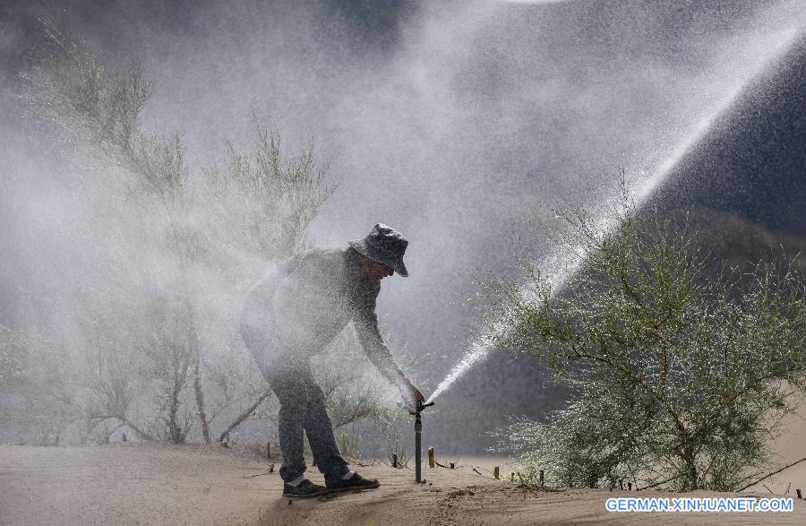 CHINA-TIBET-CONSERVATION PROGRAM-SAND CONTROL (CN)