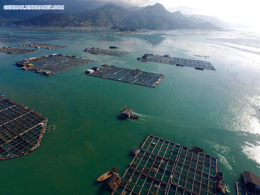 CHINA-FUJIAN-TYPHOON-PREPARATION(CN)