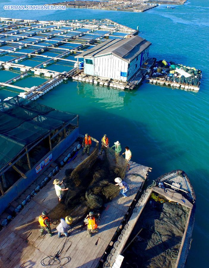 CHINA-FUJIAN-TYPHOON-PREPARATION(CN)