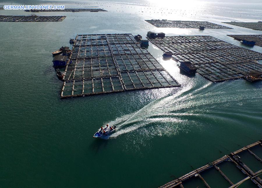 CHINA-FUJIAN-TYPHOON-PREPARATION(CN)