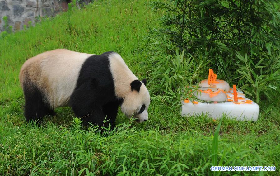 CHINA-SICHUAN-PANDA-BIRTHDAY(CN)