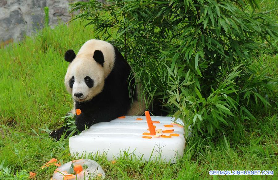 CHINA-SICHUAN-PANDA-BIRTHDAY(CN)