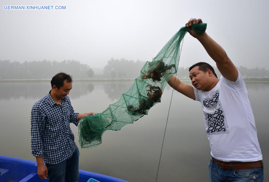 #CHINA-JIANGSU-HUAIAN-CRAYFISH MAKER (CN)