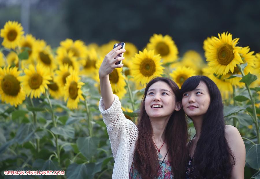 CHINA-BEIJING-SUNFLOWER(CN)