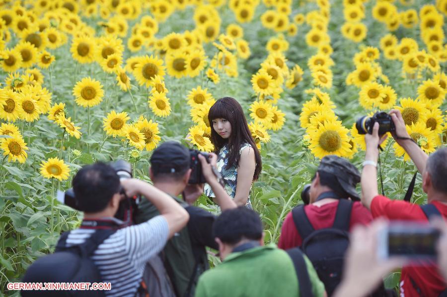 CHINA-BEIJING-SUNFLOWER(CN)