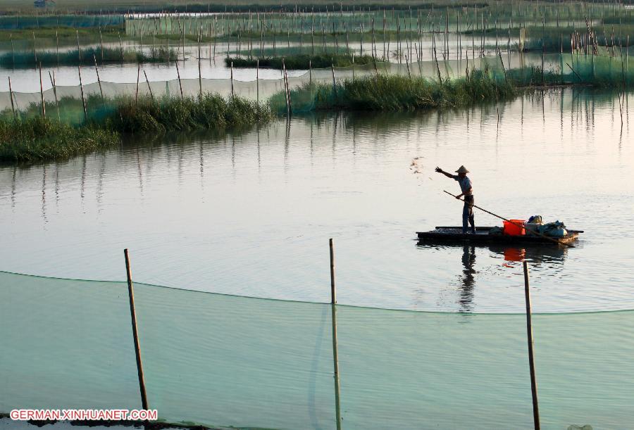 #CHINA-ZHEJIANG-SHOAL(CN)