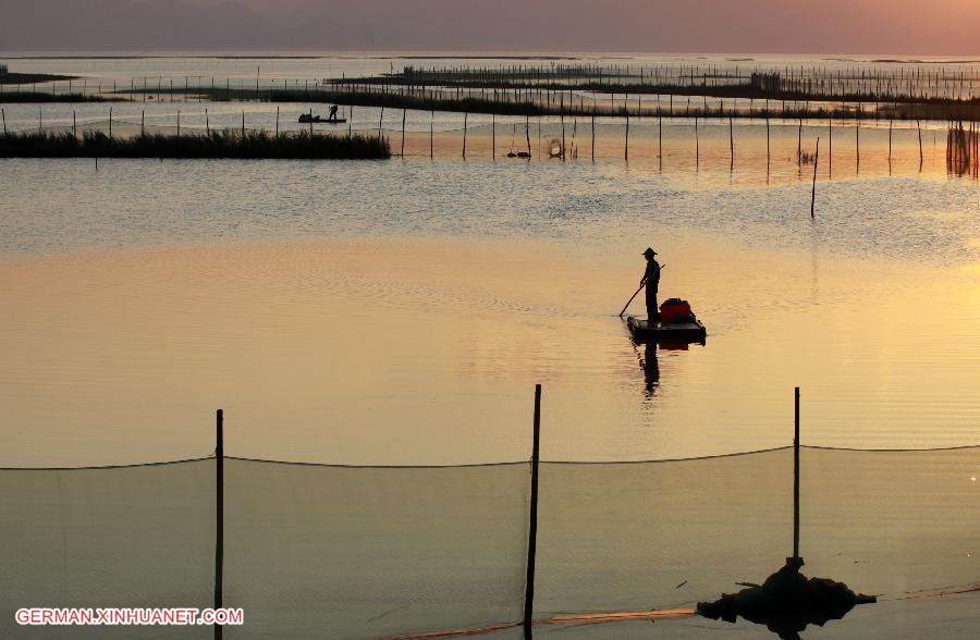 #CHINA-ZHEJIANG-SHOAL(CN)