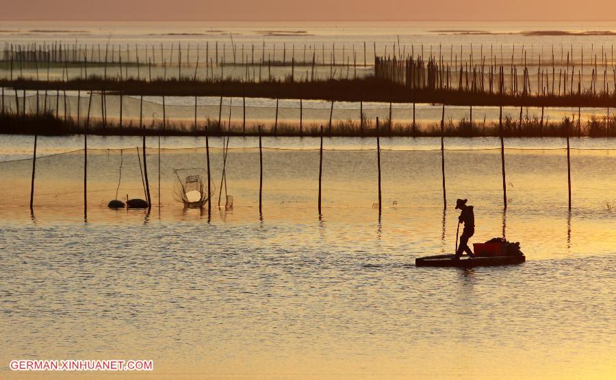 #CHINA-ZHEJIANG-SHOAL(CN)