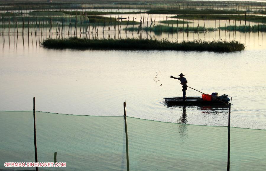 #CHINA-ZHEJIANG-SHOAL(CN)