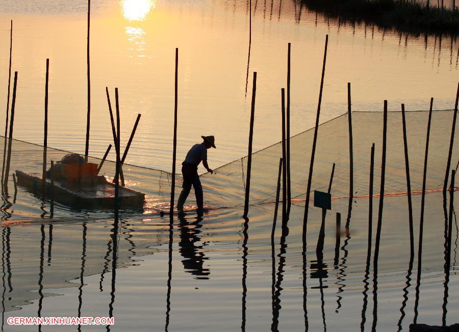 #CHINA-ZHEJIANG-SHOAL(CN)