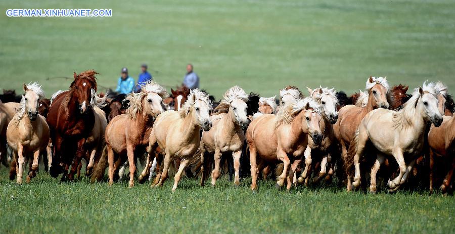 CHINA-INNER MONGOLIA-HERDSMEN-HORSE (CN) 