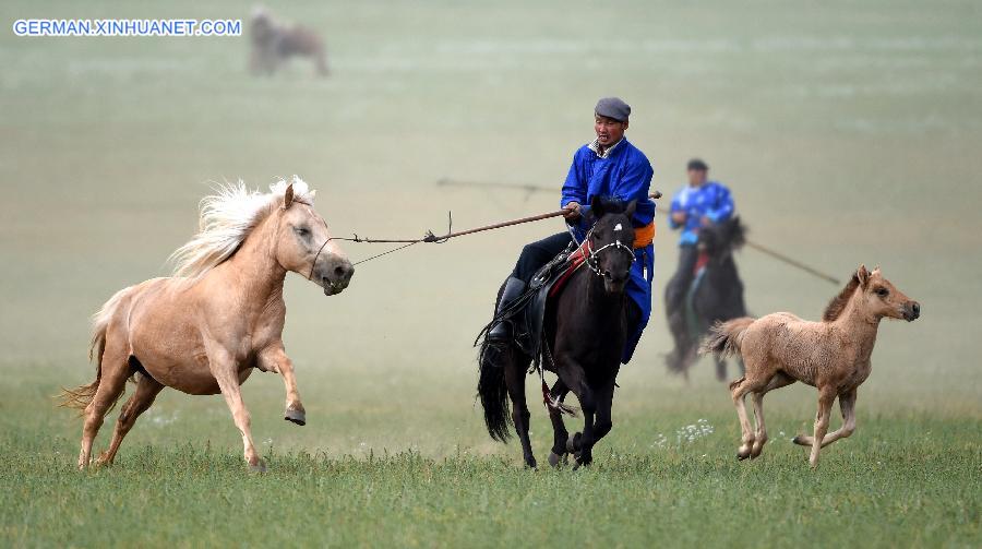 CHINA-INNER MONGOLIA-HERDSMEN-HORSE (CN) 