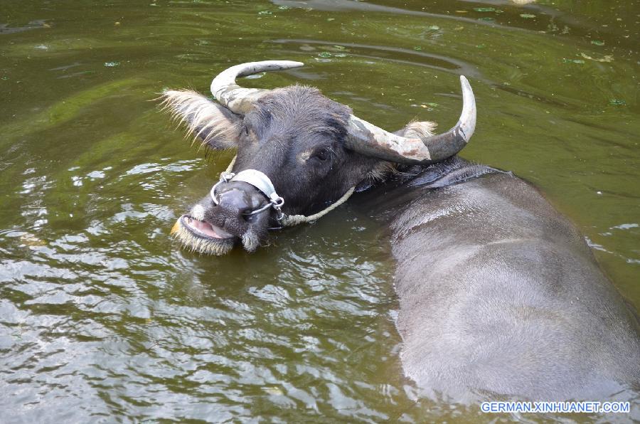 #CHINA-TAIPEI-ZOO-COOLING (CN)