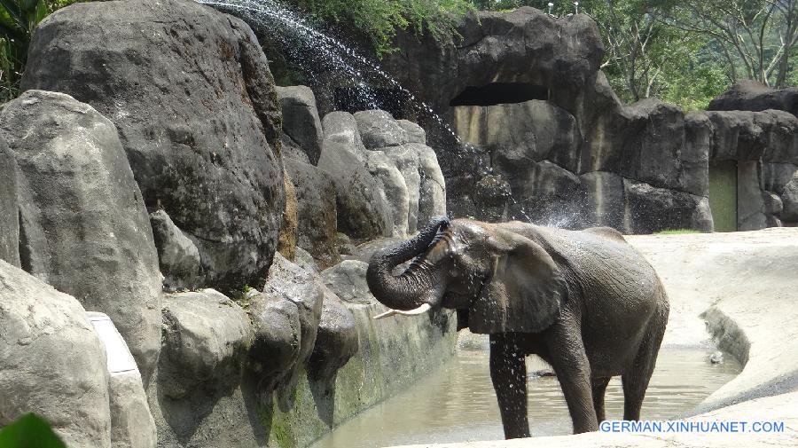 #CHINA-TAIPEI-ZOO-COOLING (CN)