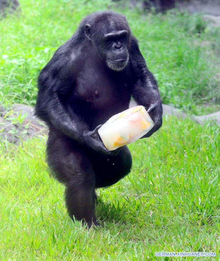 #CHINA-TAIPEI-ZOO-COOLING (CN)