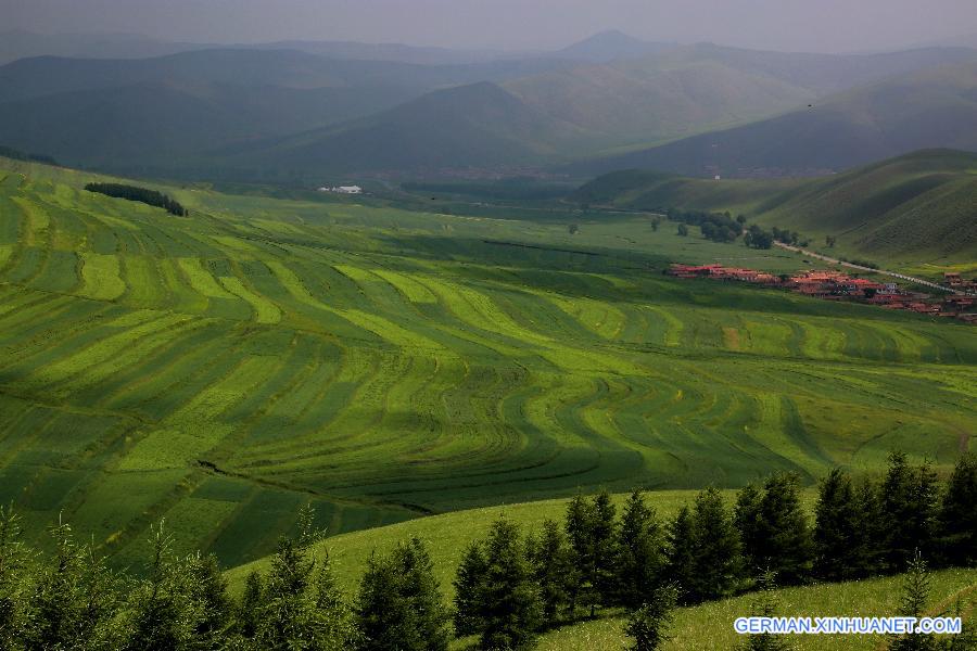 CHINA-HEBEI-SHIJIAZHUANG-BASHANG GRASSLAND(CN)
