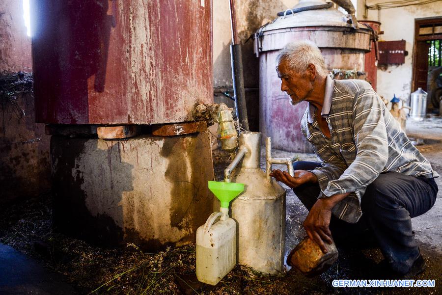 CHINA-XINJIANG-ILI-LAVENDER-ESSENTIAL OIL-DISTILLING (CN)