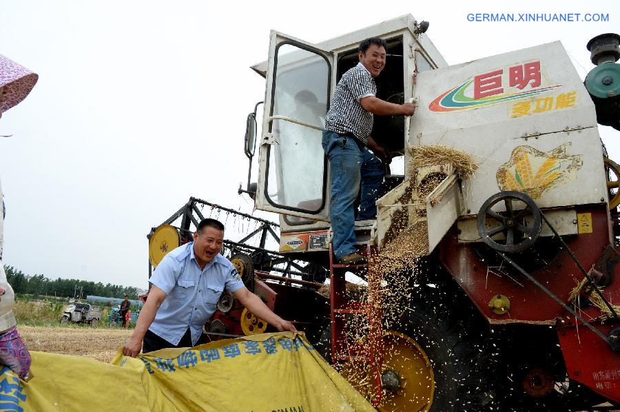 CHINA-SHANDONG-JINAN-SUMMER GRAIN OUTPUT(CN)