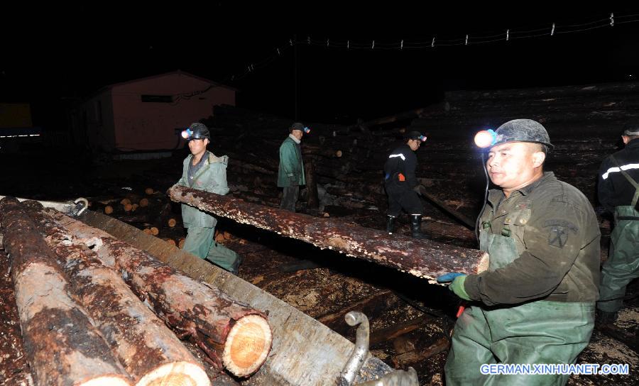 CHINA-HEILONGJIANG-HEGANG-COAL MINE-FLOOD (CN)