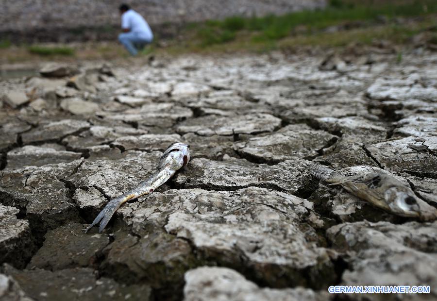 CHINA-LIAONING-DROUGHT (CN)