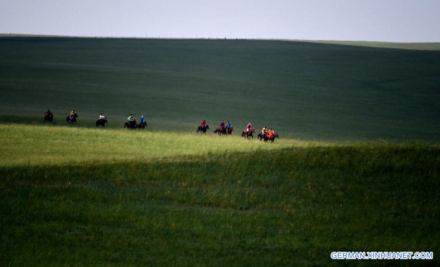 CHINA-INNER MONGOLIA-XILINHOT-HORSE (CN)