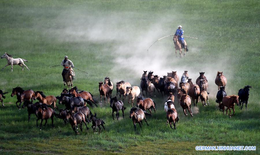 CHINA-INNER MONGOLIA-XILINHOT-HORSE (CN)