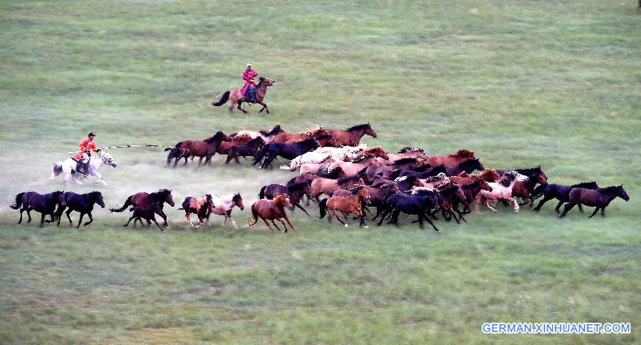 CHINA-INNER MONGOLIA-XILINHOT-HORSE (CN)