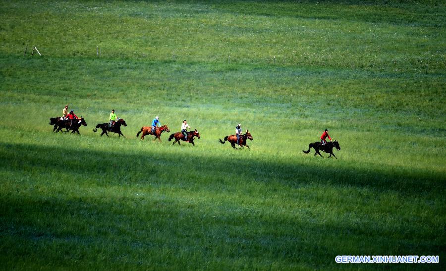 CHINA-INNER MONGOLIA-XILINHOT-HORSE (CN)