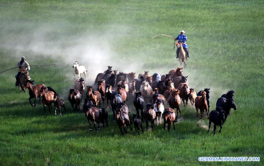 CHINA-INNER MONGOLIA-XILINHOT-HORSE (CN)