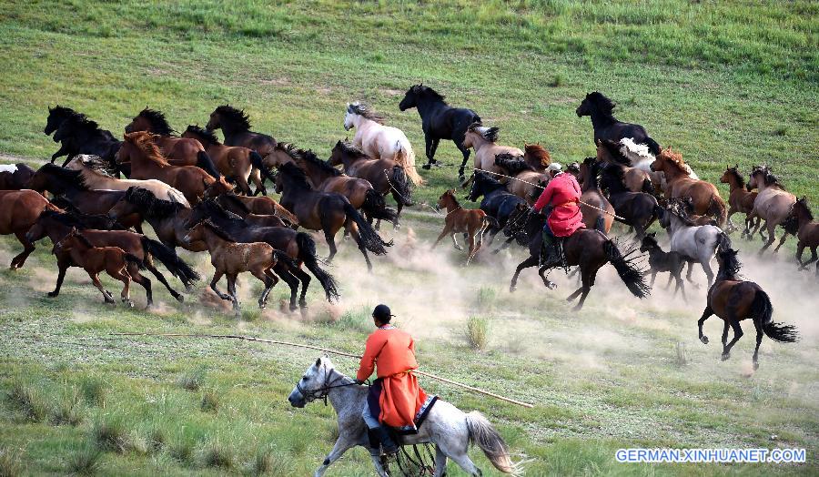 CHINA-INNER MONGOLIA-XILINHOT-LASSOING (CN)