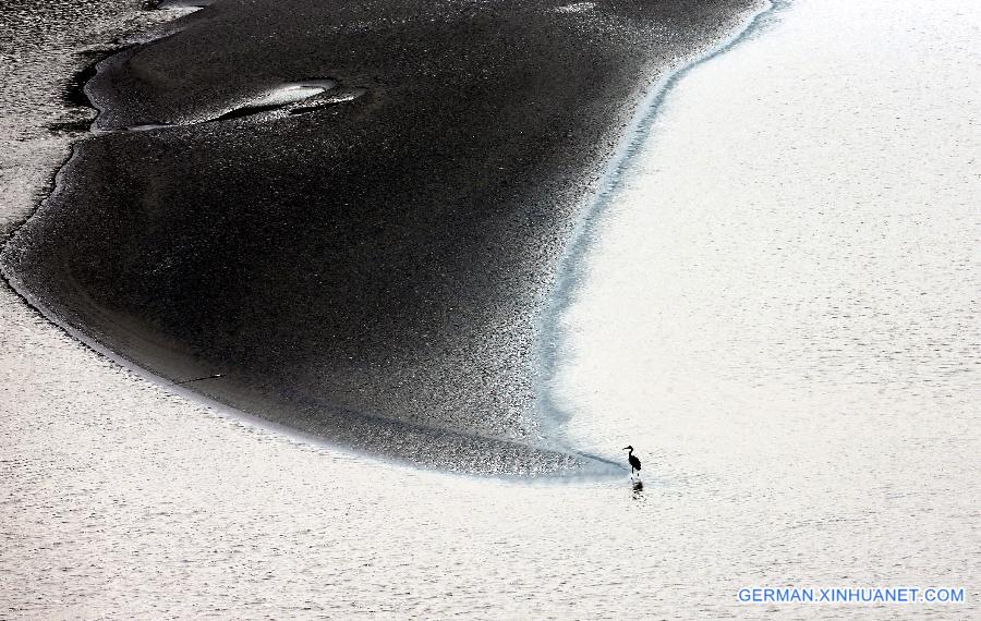 #CHINA-SHANXI-PINGLU-WETLAND-BIRDS (CN)