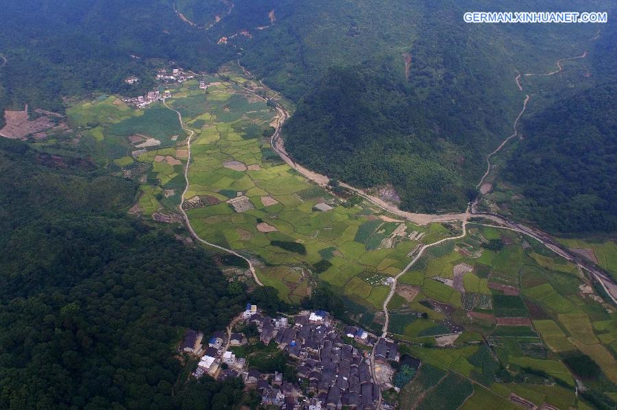 CHINA-GUANGXI-RICE-HARVEST(CN)