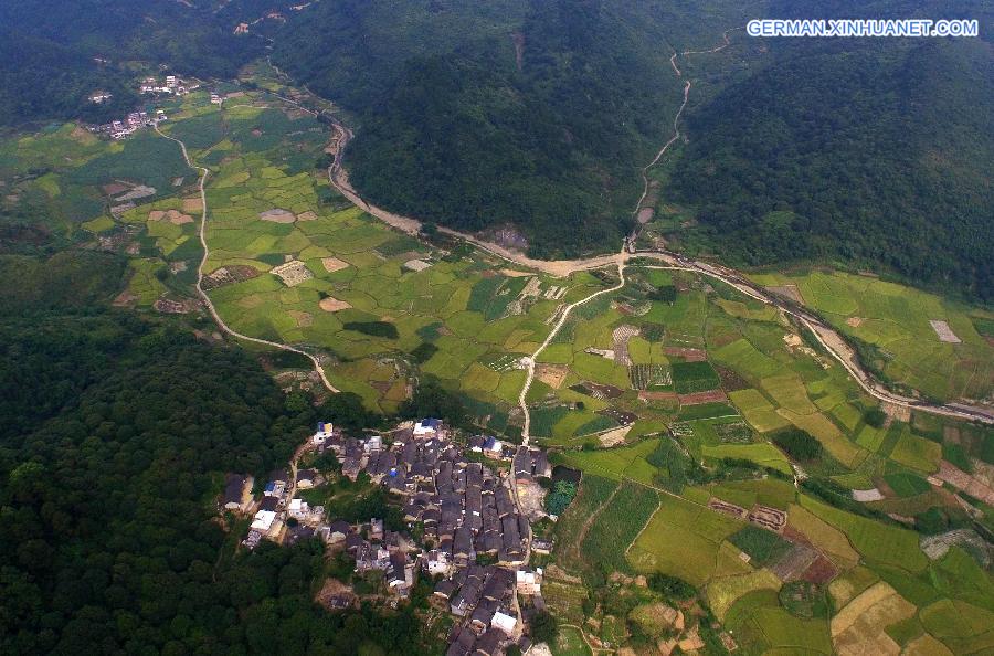 CHINA-GUANGXI-RICE-HARVEST(CN)