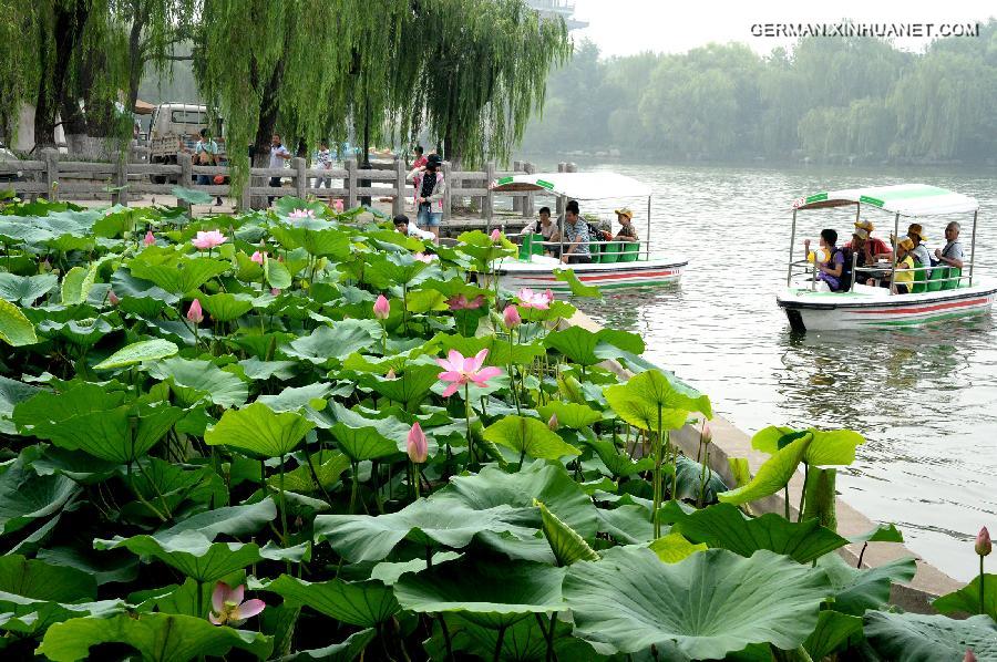 CHINA-SHANDONG-JINAN-LOTUS (CN) 