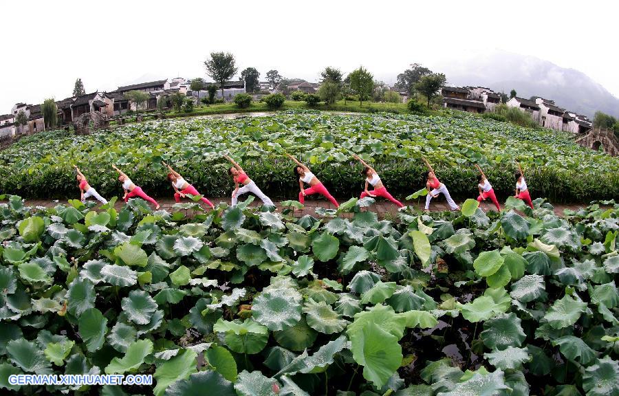 #CHINA-LOTUS (CN) 