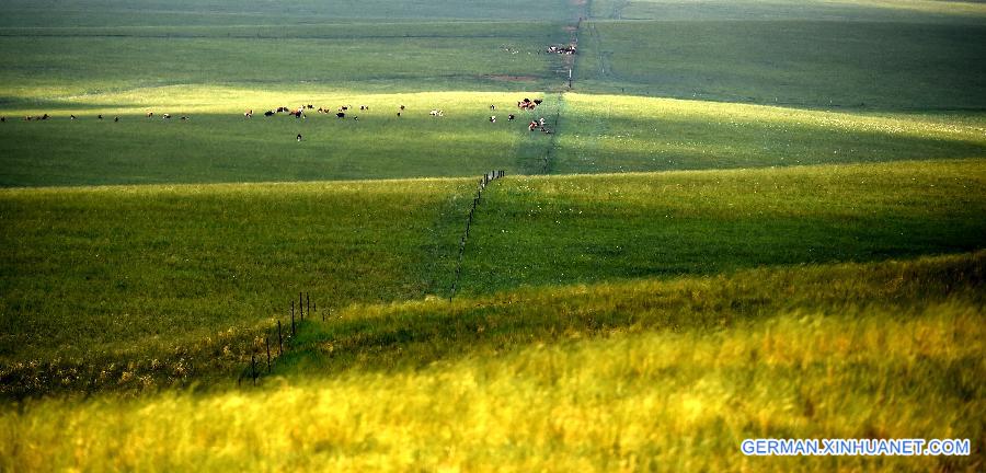 CHINA-INNER MONGOLIA-PRAIRIE-SCENERY (CN)