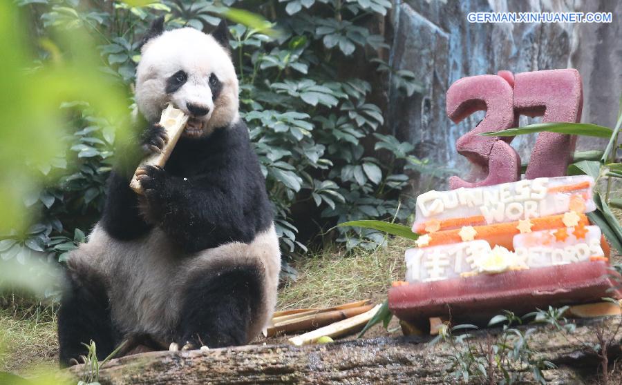 CHINA-HONGKONG-OLDEST PANDA (CN)