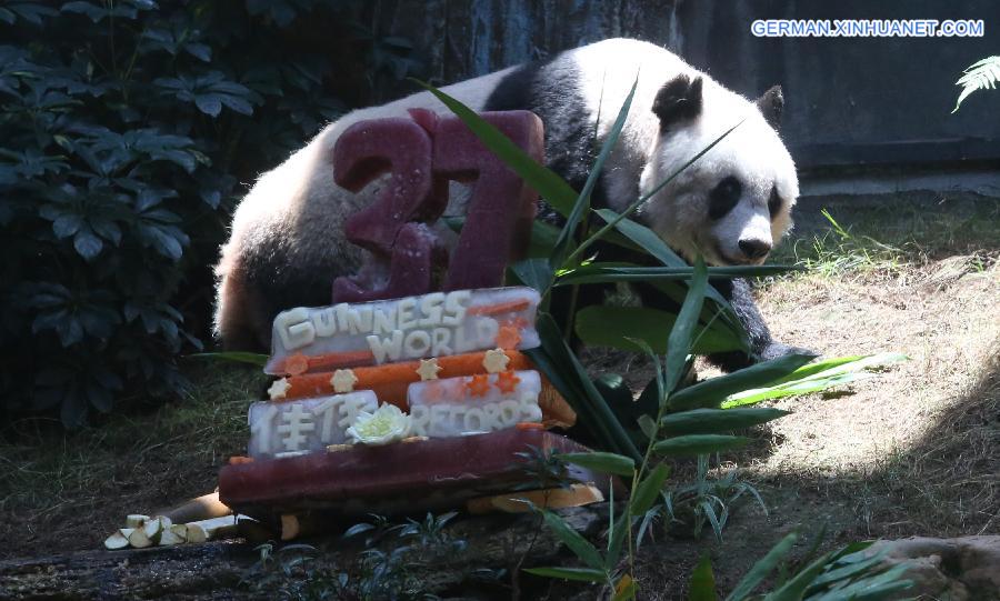 CHINA-HONGKONG-OLDEST PANDA (CN)