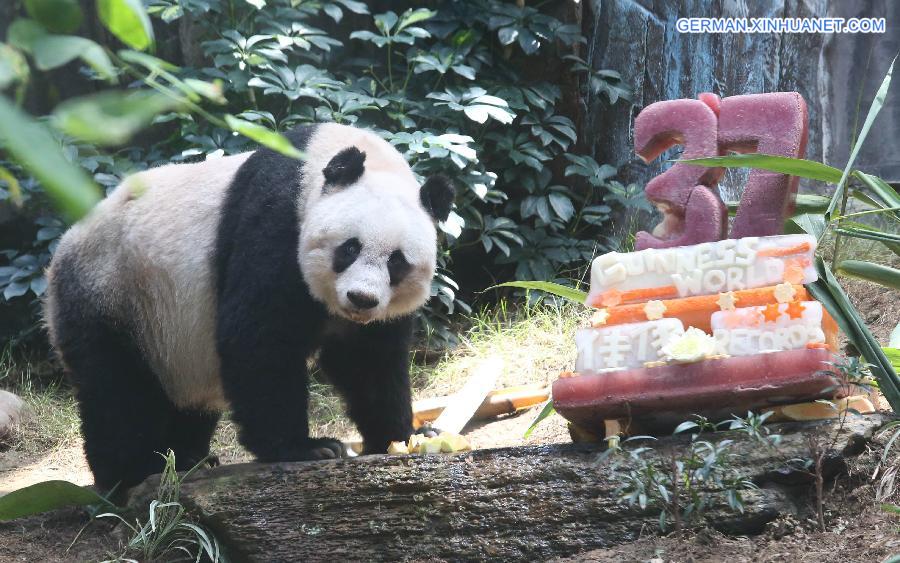 CHINA-HONGKONG-OLDEST PANDA (CN)