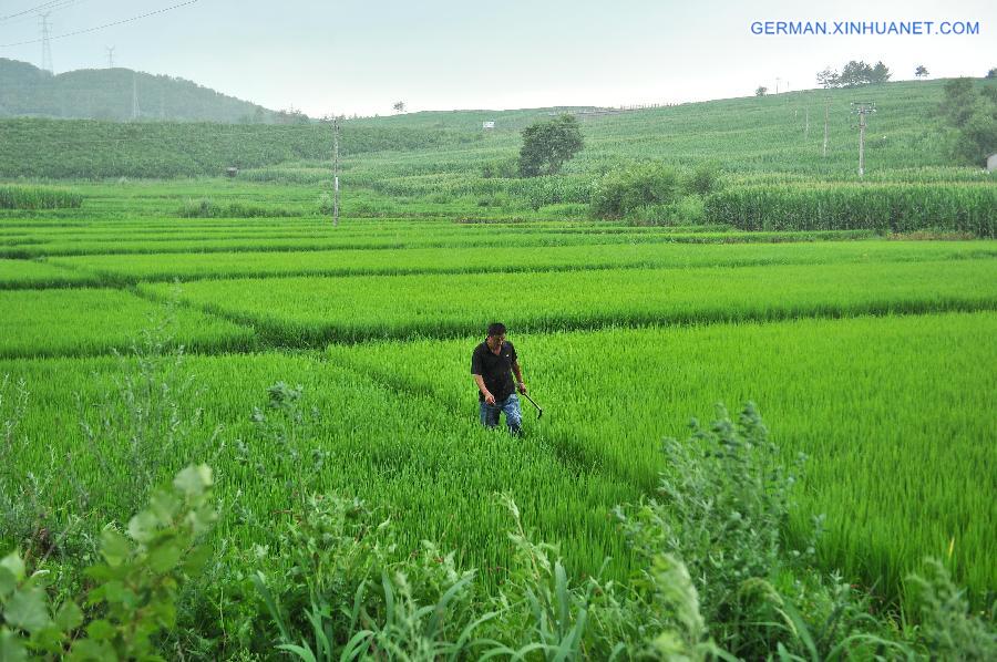 CHINA-JILIN-RAINFALL (CN)