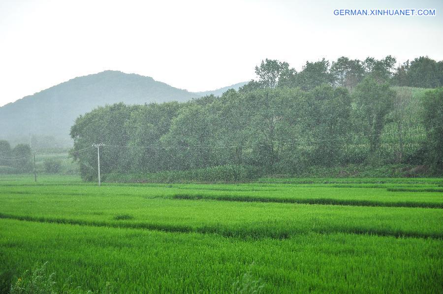 CHINA-JILIN-RAINFALL (CN)