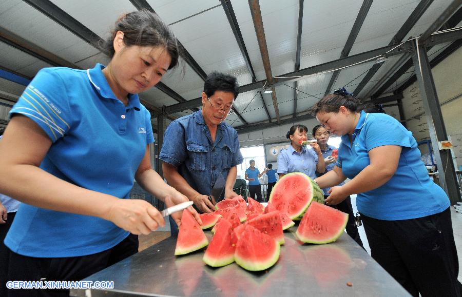 CHINA-NINGXIA-RAILWAY WORKER-SUMMER LIFE (CN)